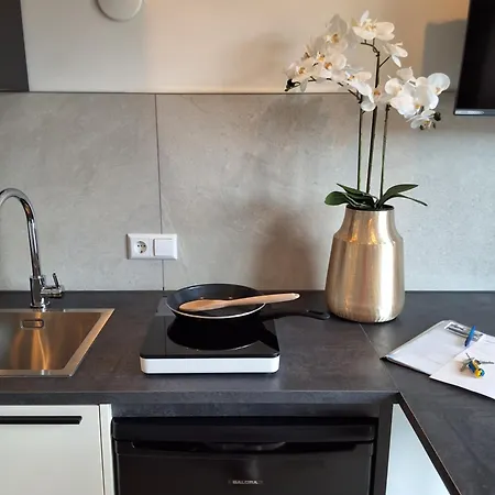 住宿加早餐酒店 Havenzicht